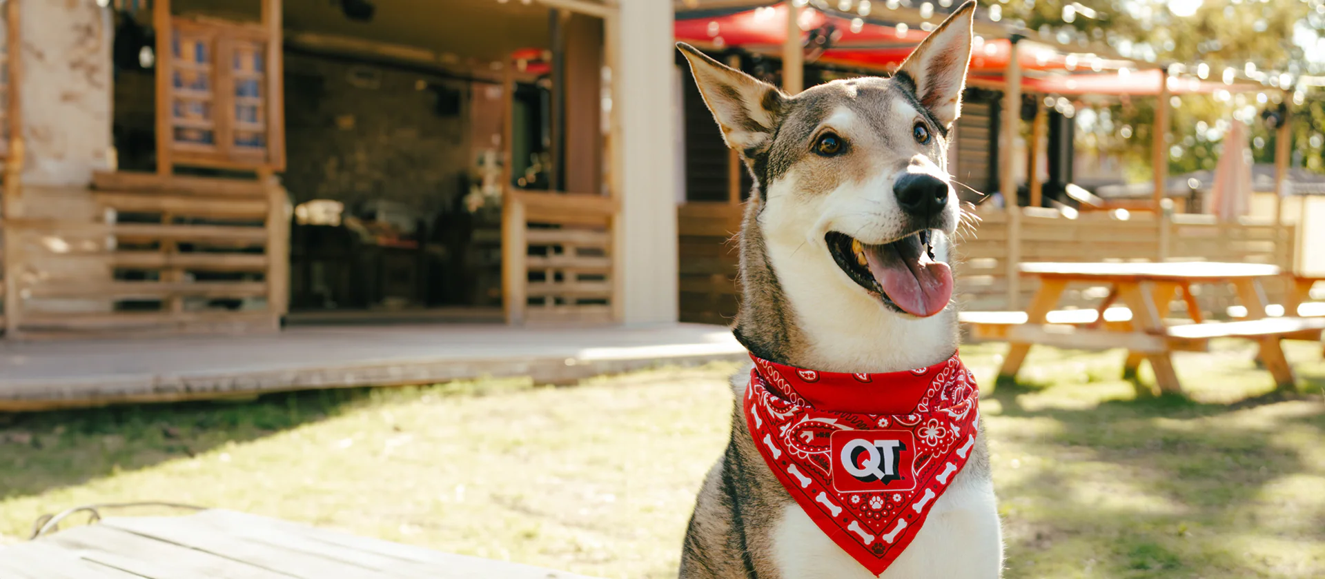 Fuel Your Style with QuikTrip