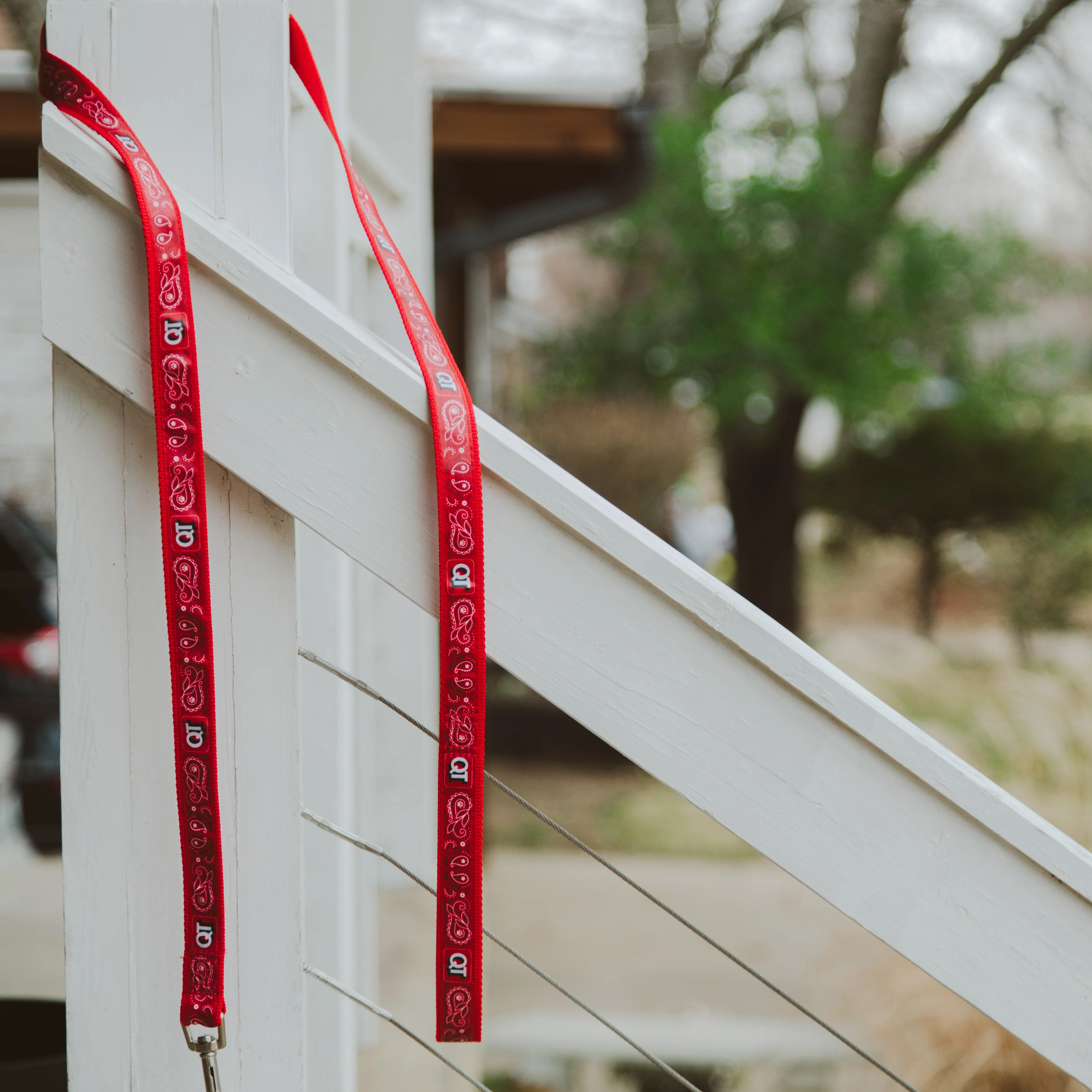 QT Dog Leash - Image 2